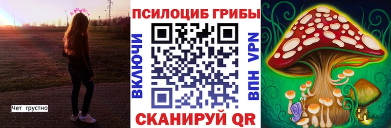 Псилоцибиновые грибы Psilocybine cubensis даркнет сайт Бузулук